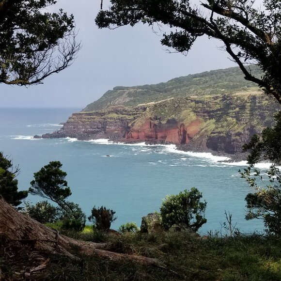 Meet your Posher, Laura - Picture 2 of 3